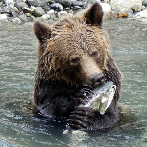 Aboriginal Journeys Wildlife and Adventure Tours